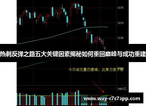 热刺反弹之路五大关键因素揭秘如何重回巅峰与成功重建