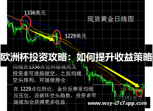 欧洲杯投资攻略：如何提升收益策略